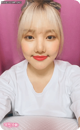 일요일 밤 Vlive로 찾아온 여자친구 예린이.gif | 인스티즈