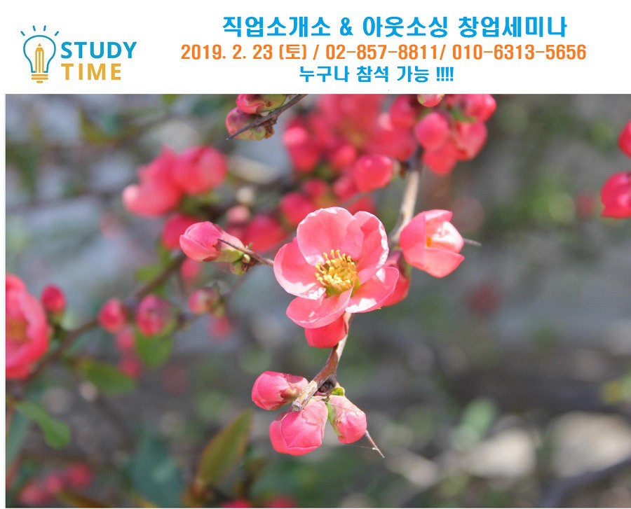 정 직업소개소 이미지