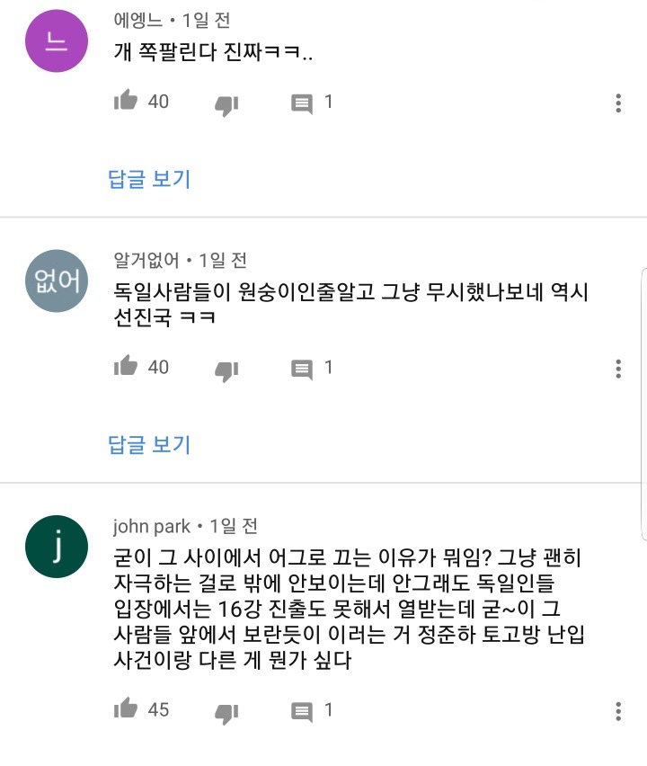 독일에서 나라망신 시켰다고 까이고있는 유튜버 | 인스티즈
