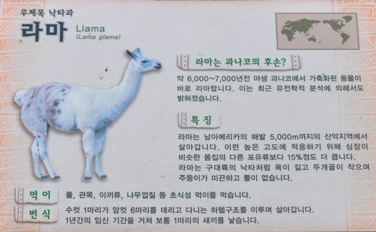 라마 이미지