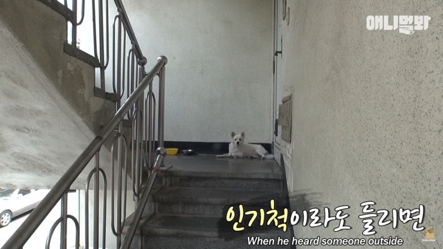 주인님이 열흘 째 문을 열어주지 않아요.. (캡쳐) | 인스티즈