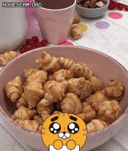 해외에서 유행하는 시리얼gif | 인스티즈