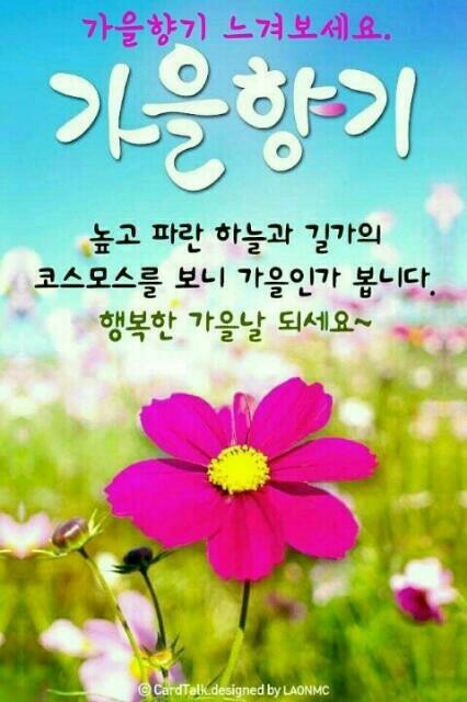 느낌 이미지