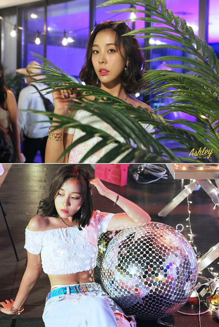 슐리 이미지