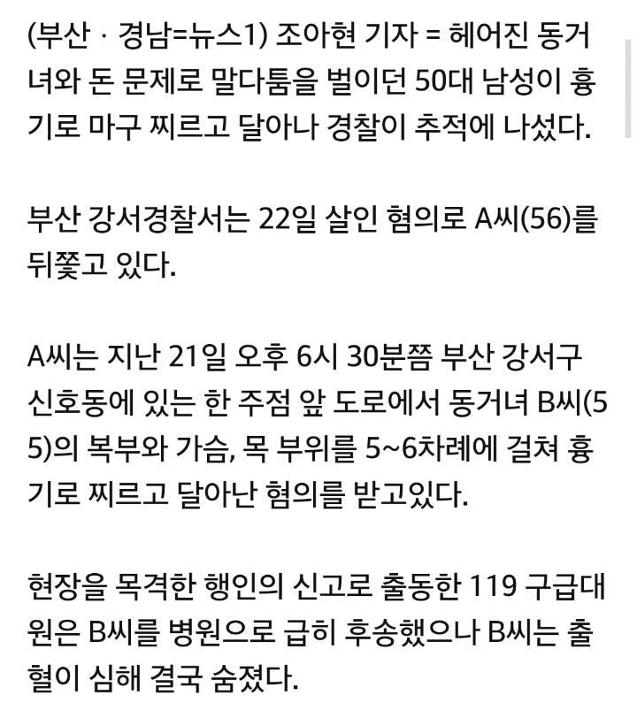 돈문제 다투다 헤어진 동거녀 흉기로 찌르고 도주 | 인스티즈