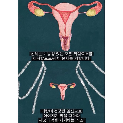 생리는 임신과 출산을 준비하기 위해 하는 것이다 | 인스티즈