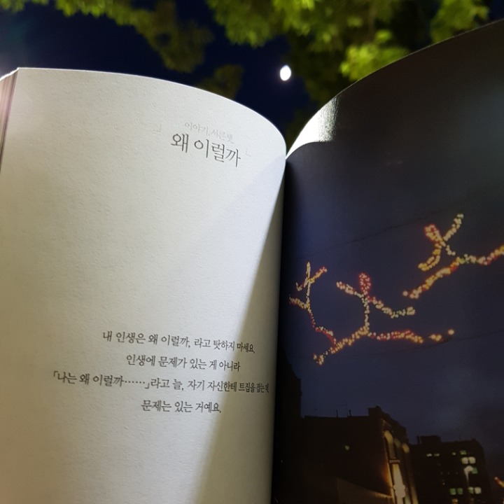 늘 변하는 꿈을 가지고 사는 것도 괜찮다 | 인스티즈