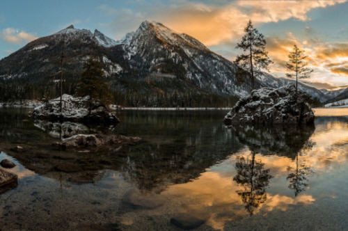  해바라기의 시 | 인스티즈