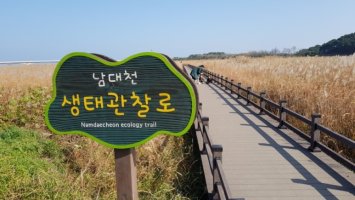 갈대숲 이미지