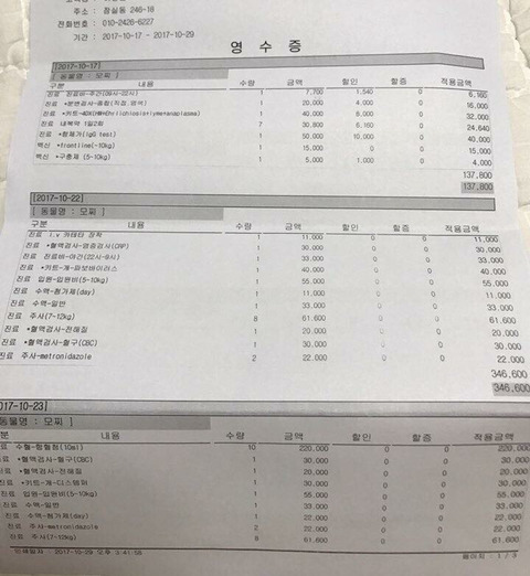 파보걸려 죽어가는 아기백구 후원부탁해 외면하지말아줘ㅠㅠㅠ | 인스티즈