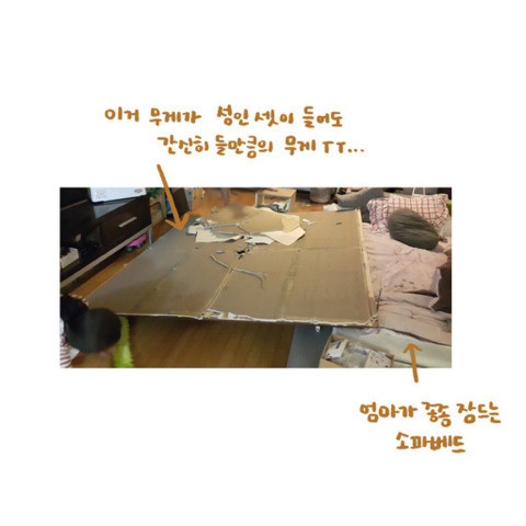 은혜갚은 고양이 | 인스티즈