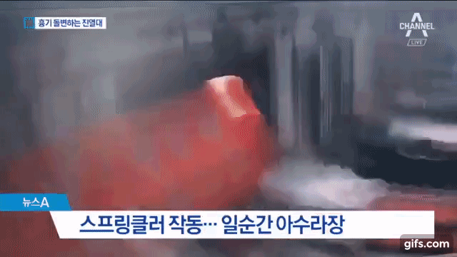 지진때 손님에게 바구니를 씌워주는 가게 직원.gif | 인스티즈