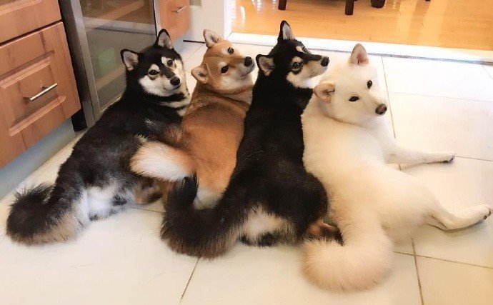 개판이네 | 인스티즈
