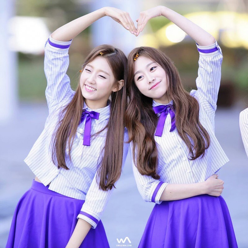 평소 서로 닮았다는 얘기 엄청듣는 러블리즈 멤버.jpgif | 인스티즈