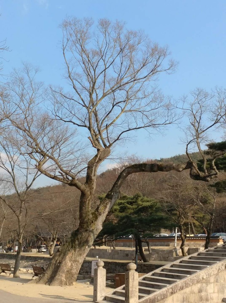 성보에너지 이미지