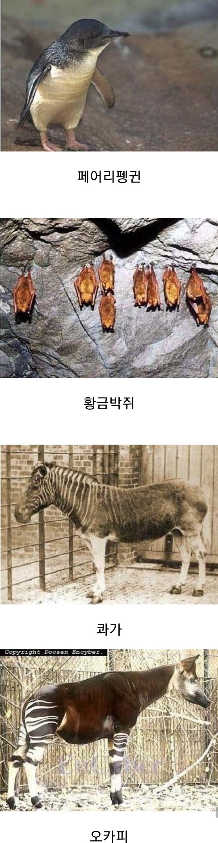 지구를 망치고 멍들게 하는 최악의 바이러스 같은 존재 | 인스티즈