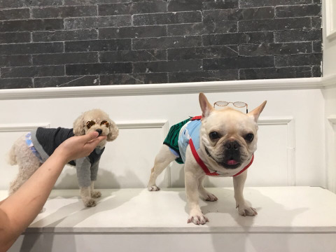 로또패션 이미지