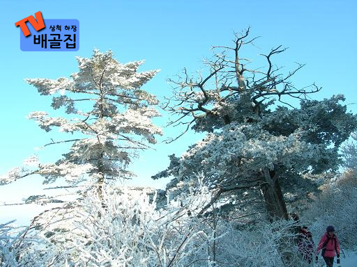 장남골 이미지