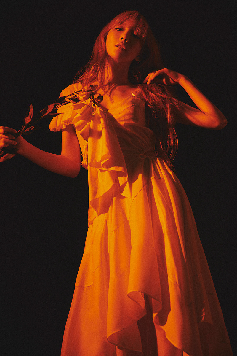 997BE1345DA48D27388AA7