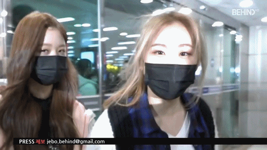 아이즈원, 어젯밤 늦게 인천공항 입국한 아이즈원 | 인스티즈
