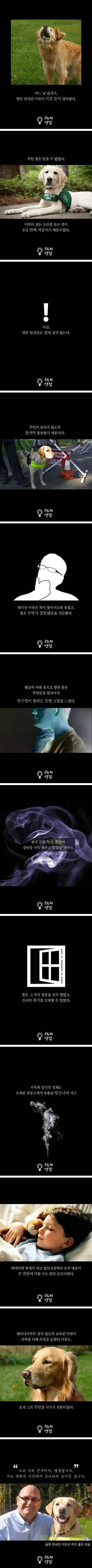 4년만에 처음으로 맹인 안내견이 짖은 이유 | 인스티즈