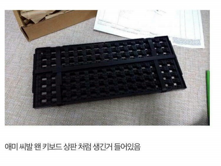 아마존에서 SD카드를 직구한 디씨인.jpg | 인스티즈