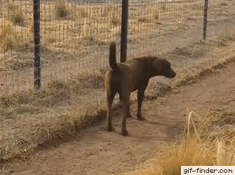 학주가 학생이 담배폈는지 확인하는 방법.gif | 인스티즈