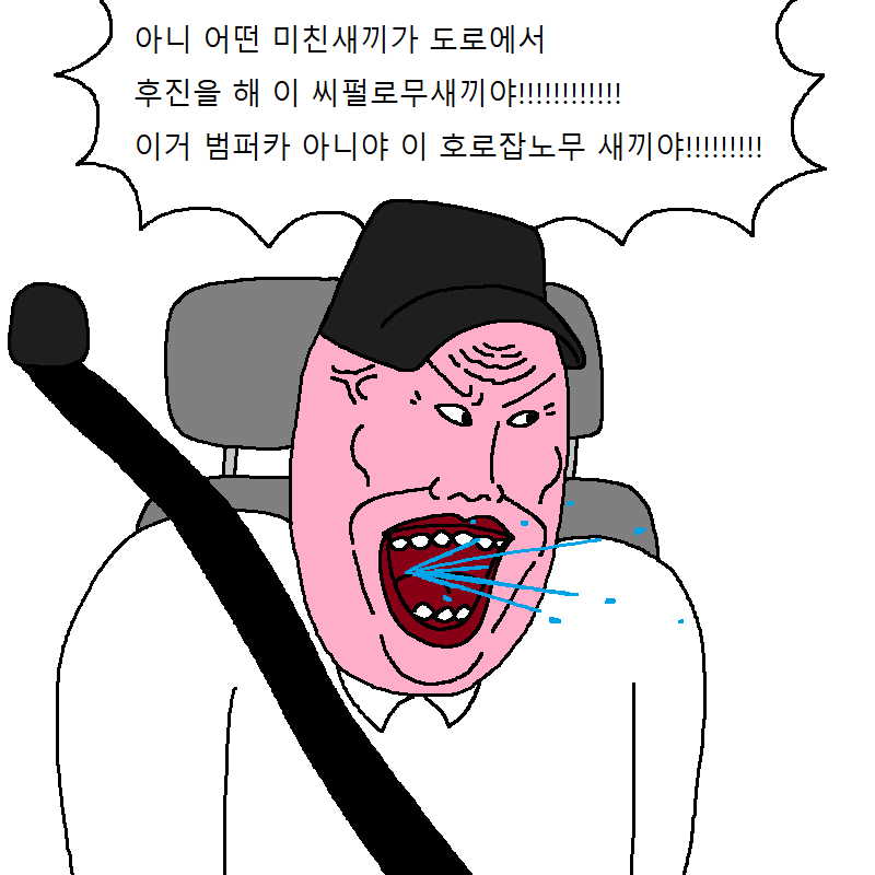 운전학원에서 운전교육 받는 만화.jpg | 인스티즈
