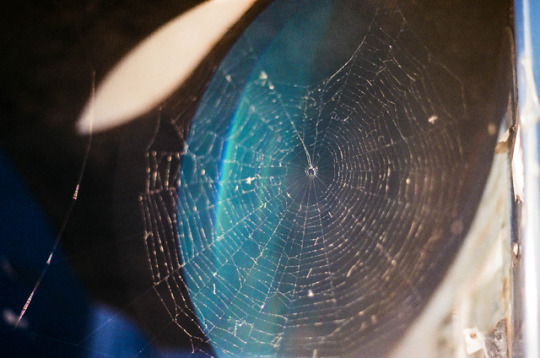  나에게는 꿈이 하나 있지 | 인스티즈