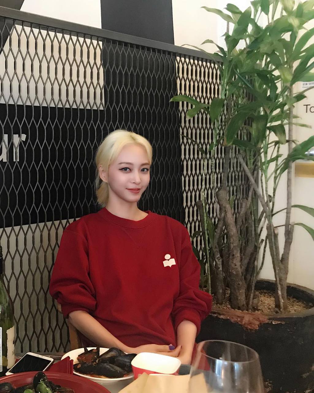 고양이상 끝판왕 연예인.jpgif | 인스티즈