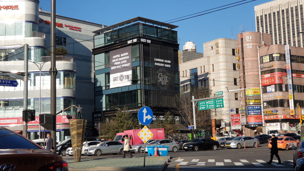 상록수 이미지