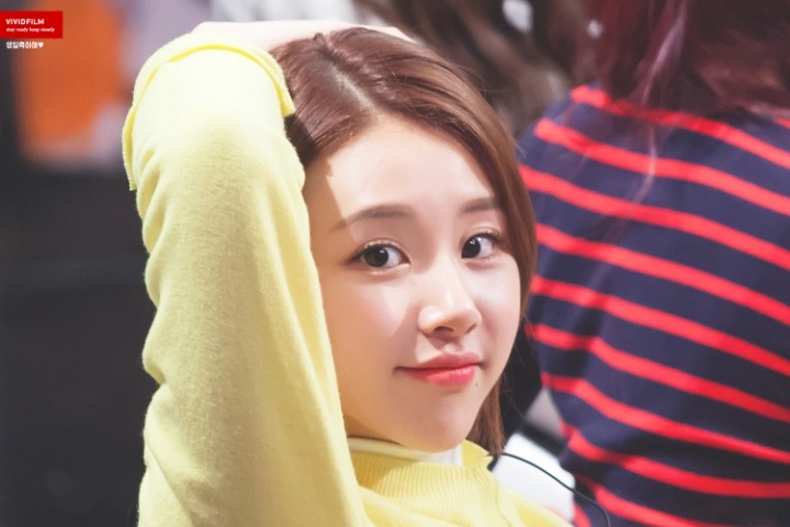 트와이스 손채영 | 인스티즈