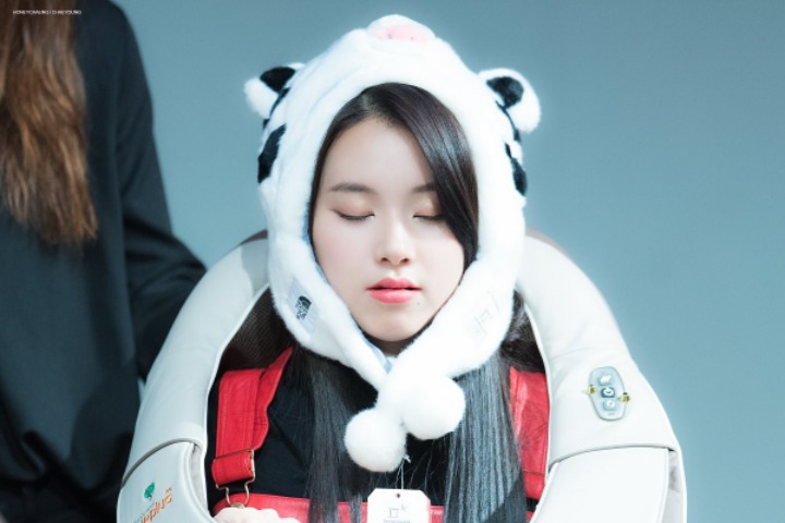 트와이스 채영 | 인스티즈