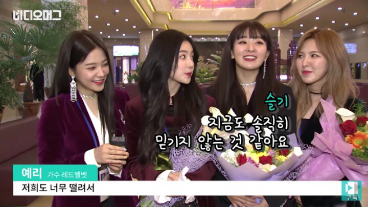 레드벨벳 평양 공연 후 인터뷰 전문 | 인스티즈