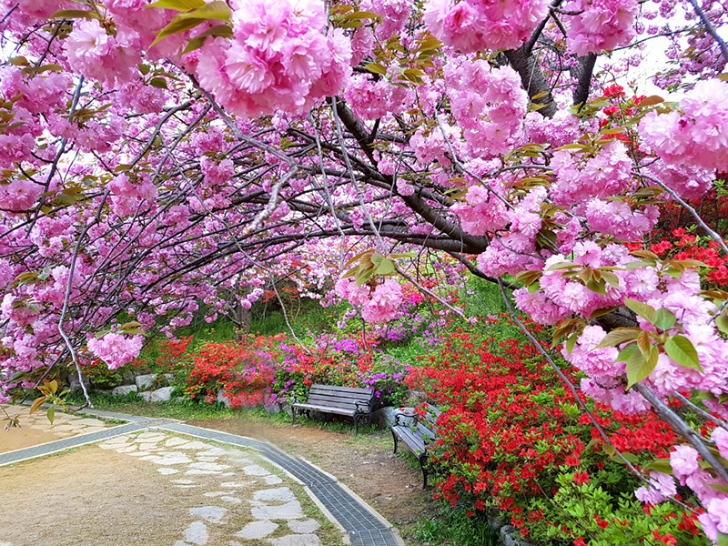 완산(완주) 이미지
