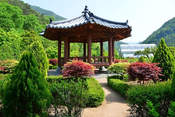 창포마을 이미지