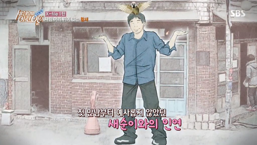 [세상에이런일이] 엄청 충격적이였던 오늘편 사람을 좋아하는 참새 새순이 이야기.jpg | 인스티즈