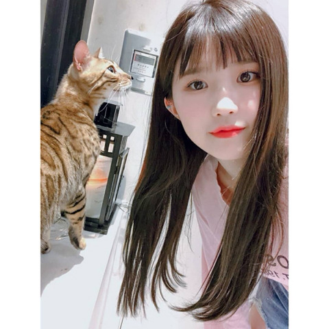 냥이까페간 프로미스 나인 | 인스티즈