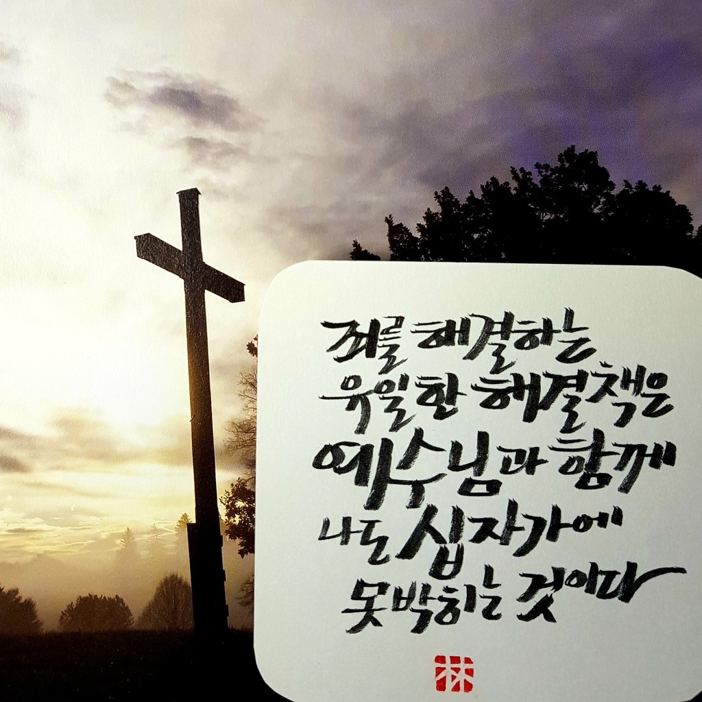 생명나무 이미지