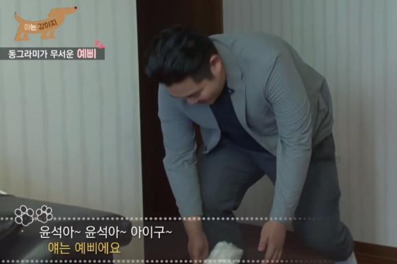 강아지 조련사 가정방문 | 인스티즈