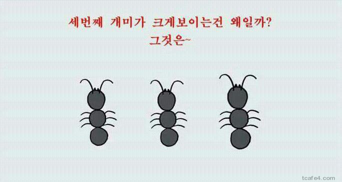착시 레전드 | 인스티즈