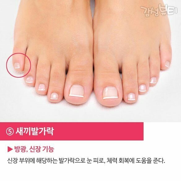 다섯발가락 이미지