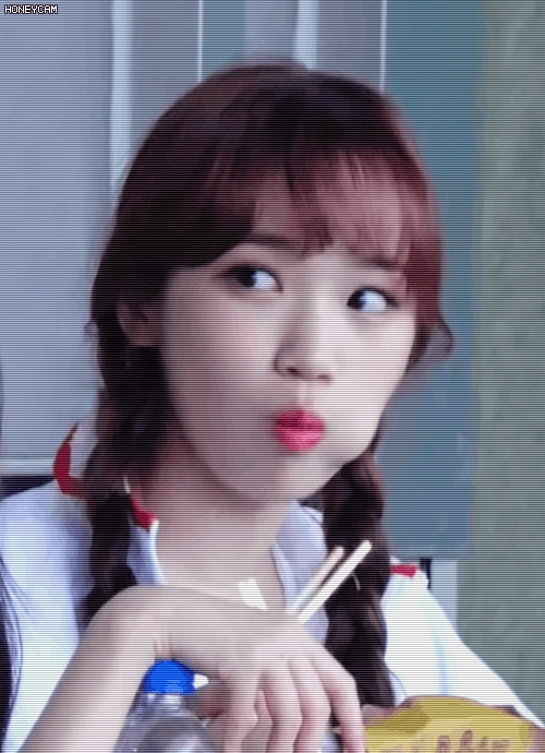 아이즈원 귀여운 빵떡 김채원.jpgif | 인스티즈