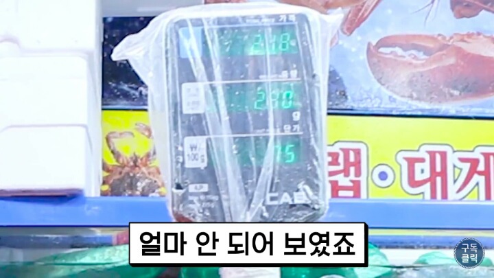 대게나 킹크랩살때 바가지 안당하는 방법!!! | 인스티즈