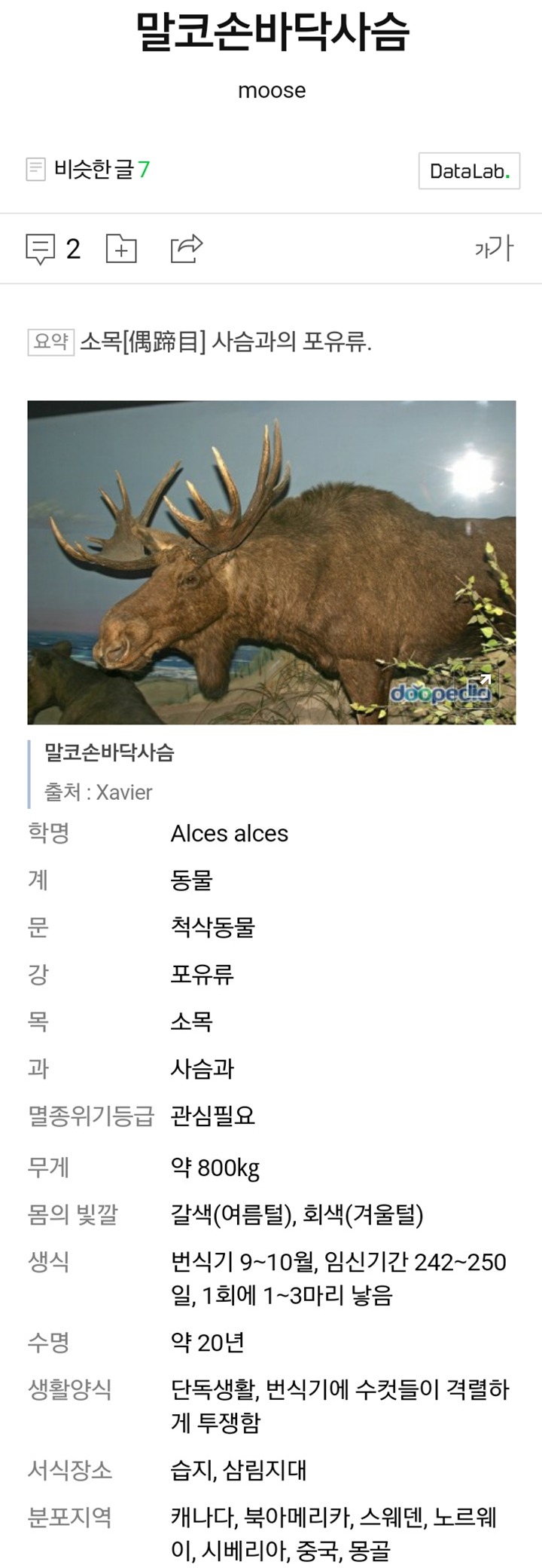 세계에서 가장 큰 사슴 | 인스티즈