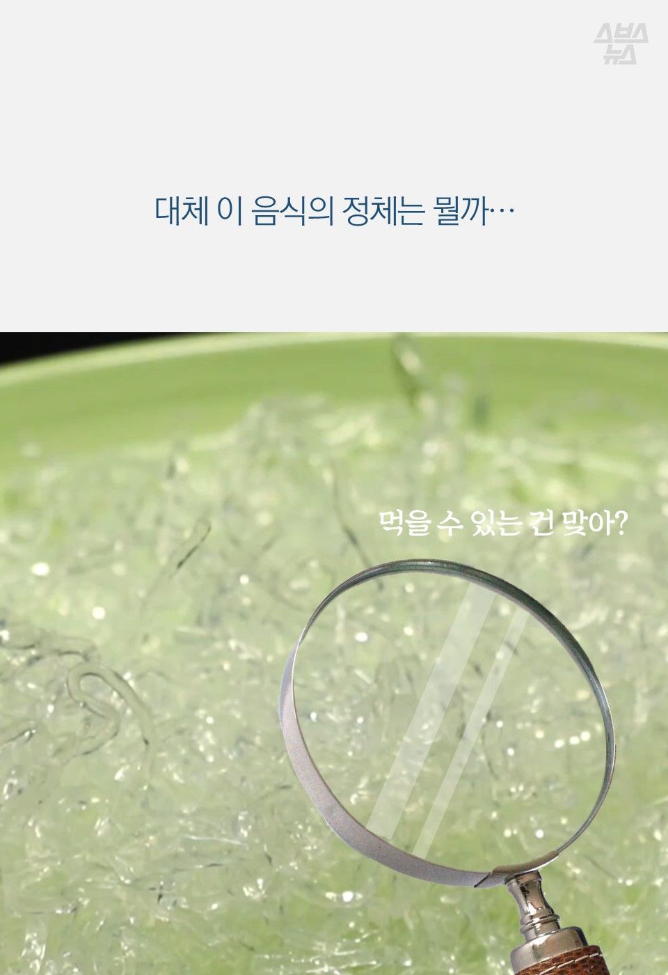 회 밑에 까는 '천사채' 먹어도 될까?…개발자에게 물어봤다 | 인스티즈