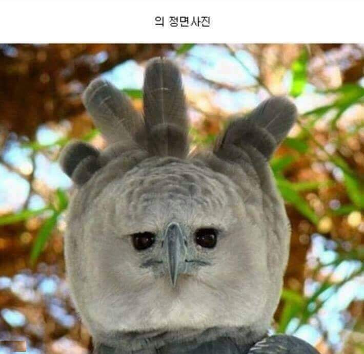 각도의 중요성.jpg | 인스티즈