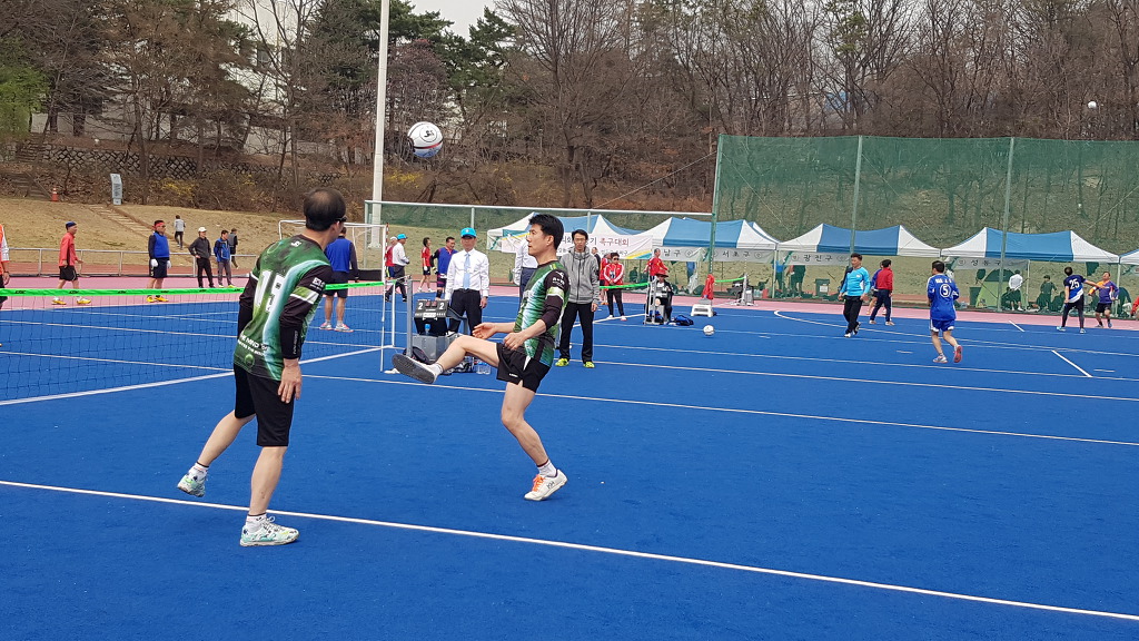 경기피닉스 이미지