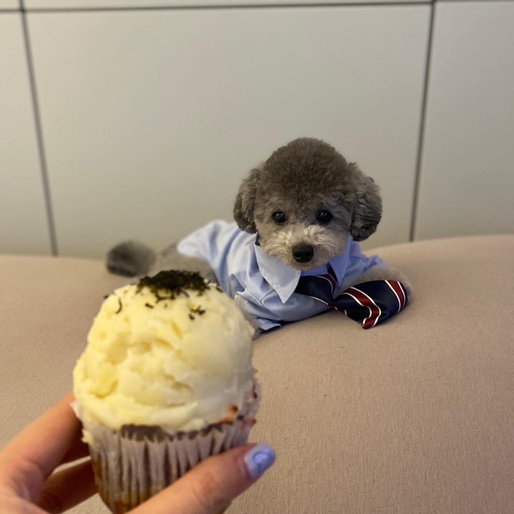 99C7A7385F3ECF4808B039