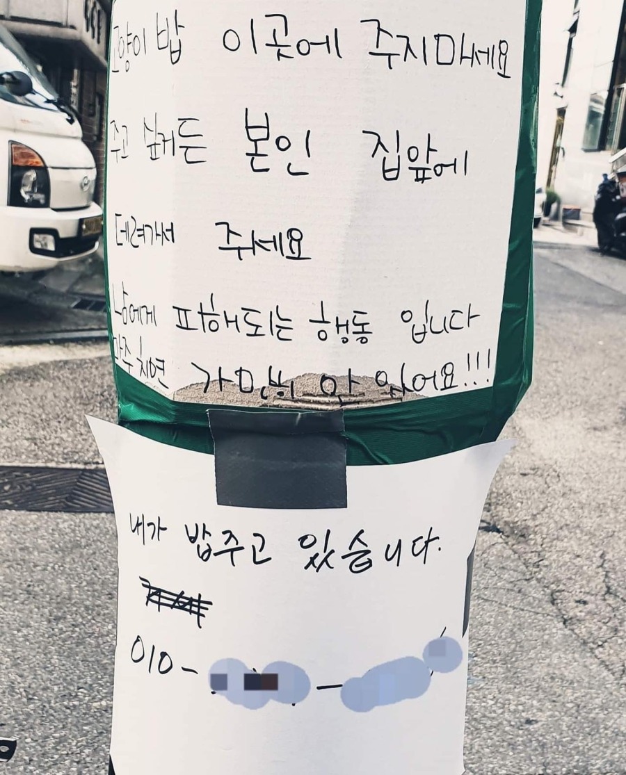 여기에 고양이 밥 주지마세요 | 인스티즈